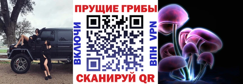 купить цена Лосино-Петровский Галлюциногенные грибы GOLDEN TEACHER
